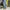 Guess Streetwear Casual Jeans Pria blue photo 1