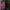 Outdoor Research Streetwear Casual Backpack Wanita pink photo 3