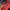 Asics Casual Bomber jacket Pria navy red photo 8
