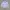 Dickies Minimalist Casual Formal shirt Pria blue photo 1