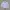 Dickies Minimalist Casual Formal Shirt Pria Blue