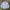 Dickies Minimalist Casual Formal shirt Pria blue photo 2