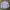 Dickies Minimalist Casual Formal shirt Pria blue photo 7