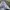 Dickies Minimalist Casual Formal shirt Pria blue photo 3