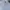 Dickies Minimalist Casual Formal shirt Pria blue photo 6