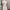 Lolita Coquette Babydoll dress Wanita pink photo 2