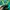 Adidas Vintage Sportswear Track jacket Pria green photo 3