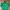 Adidas Vintage Sportswear Track jacket Pria green photo 1
