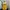Vintage Summer dress Wanita yellow photo 2
