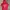 Streetwear Hoody Wanita Red