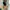 Minimalist Casual Wanita black photo 5