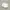 Shein Minimalist Casual Wanita white photo 4