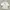 Shein Minimalist Casual Wanita white photo 3