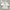 Shein Minimalist Casual Wanita white photo 1