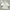 Shein Minimalist Casual Wanita White