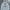 Stussy Luxury Minimalist Pria gray photo 1