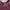 Streetwear Sweater Wanita burgundy photo 3