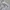 Champion Casual Sweatshirt Pria gray photo 2
