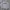Champion Casual Sweatshirt Pria gray photo 1