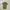 Minimalist Casual Jumpsuit Wanita green photo 1