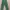 Indie Casual trouser Wanita green photo 1