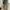 Mango Casual Romper Wanita green photo 3