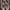 VANS Streetwear Sneakers Pria brown black photo 3