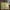 Obermain Luxury Minimalist Wanita tan photo 2