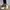 Adidas Luxury Futurist Sneakers Pria gray photo 3