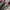 Adidas Luxury Futurist Sneakers Pria gray photo 2