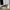 Adidas Luxury Futurist Sneakers Pria gray photo 1