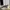 Adidas Luxury Futurist Sneakers Pria Gray