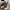 Adidas Luxury Futurist Sneakers Pria gray photo 4