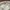 H&M Coquette Minimalist Bralette Wanita white photo 3