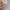 Jean-Michel Basquiat Streetwear Casual Sweater Pria gray photo 3