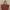 Vintage Shoulder bag Wanita brown photo 1