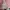 MLB Streetwear Casual Sweater Wanita pink photo 4