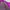 Columbia Casual Sweatshirt Wanita purple pink photo 5