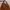Vintage Minimalist Shoulder Bag Wanita Brown