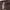 Fear of God ESSENTIALS Streetwear Casual Sweater Pria white black photo 2
