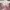 Vintage Y2K Nightgown Wanita pink photo 2