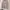 Nike Air Jordan Vintage Sportswear Sweater Pria gray photo 1
