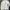 Bomber Jacket Suede Beige BECOME MiL:Ron Size L photo 1