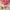 Vintage Y2K Nightgown Wanita cream photo 6
