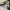 Vintage Casual Jersey Pria white green photo 4