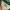 Vintage Casual Jersey Pria white green photo 5