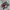 Adidas Casual Sneakers Pria burgundy photo 1