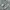 Asics Streetwear Sportswear Sneakers Pria silver photo 1
