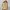Coach Casual Shoulder bag Wanita cream photo 3