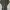 ZARA Minimalist Casual Midi dress Wanita black photo 1